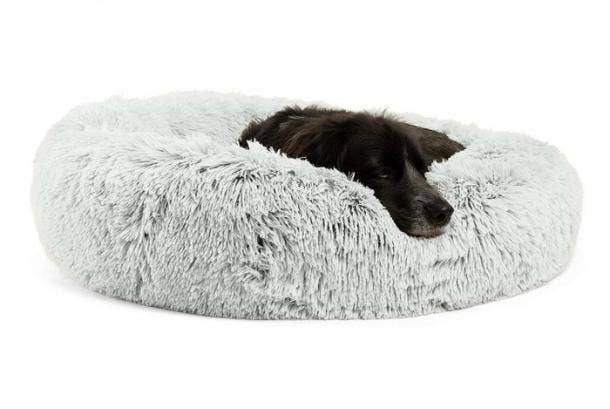 Best dog beds outlet 2018